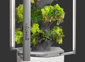 Greeny_Plus_Küchen_Diekmann_2026