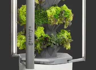 Greeny_Plus_Küchen_Diekmann_2026